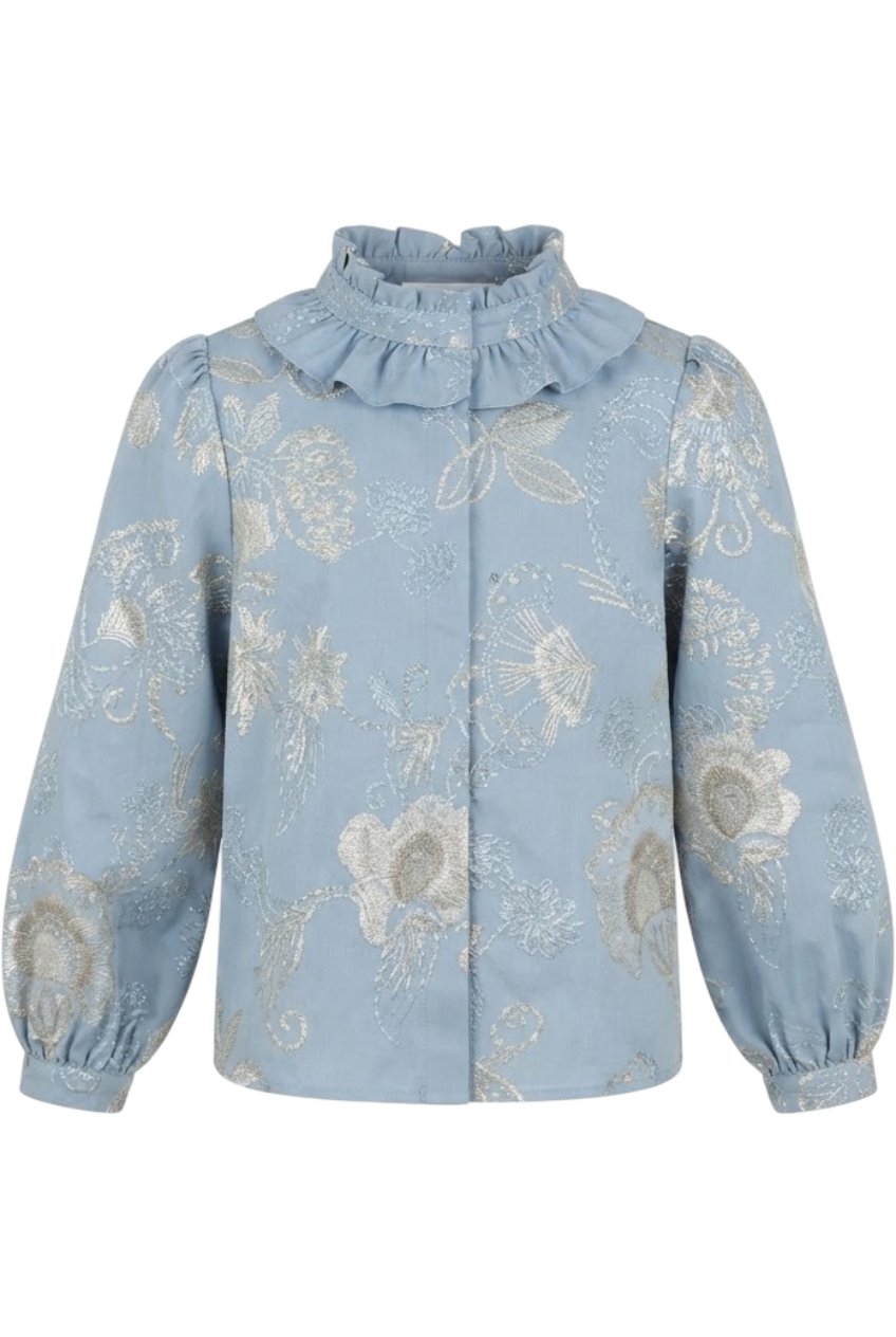 Powder blue blouse with metallic floral embroidery - product view