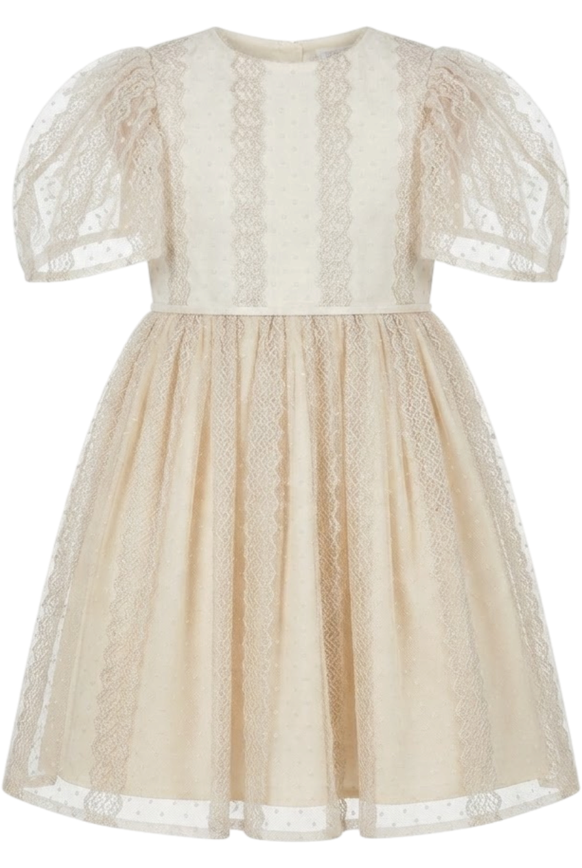 Ivory and silver lace dress - product view