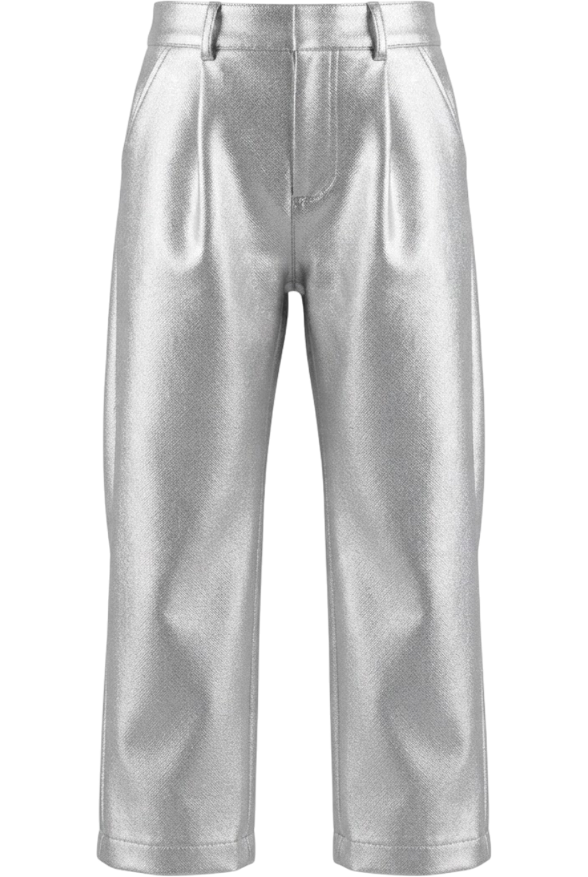 Silver trousers - product view