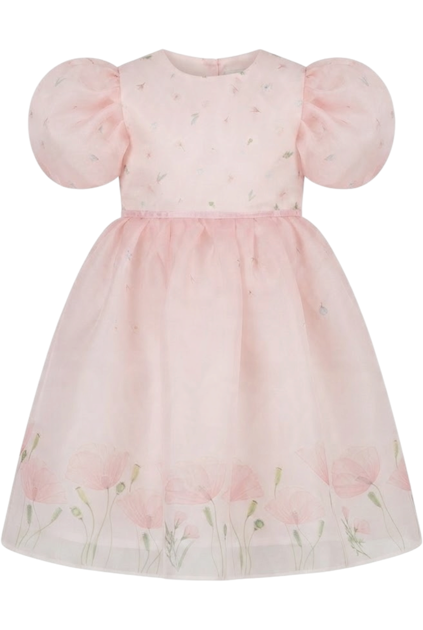 Light pink organza dress with floral print and pretty sleeves - product view