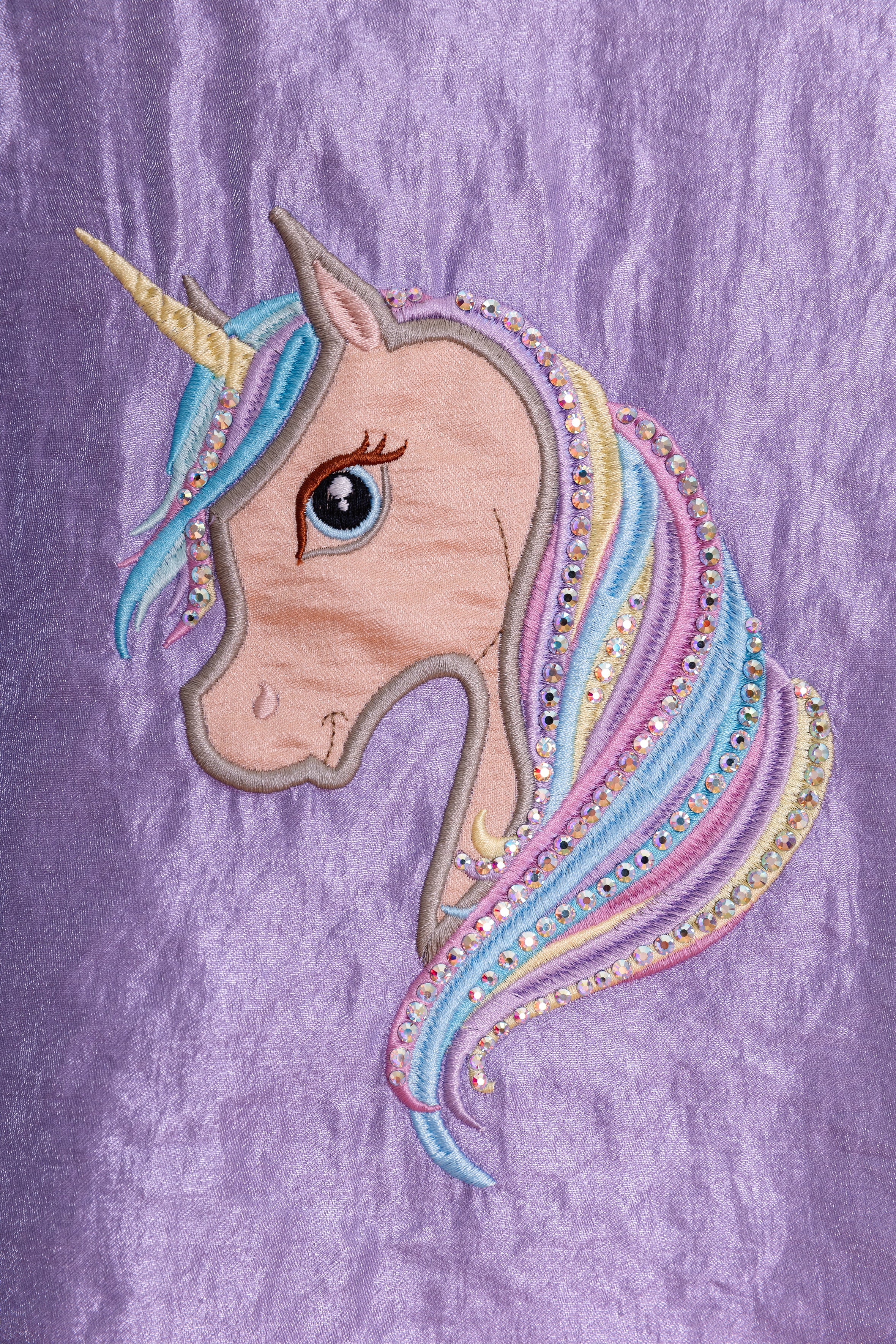 Violet dress with unicorn embroidery, fringes without Swarovski crystals