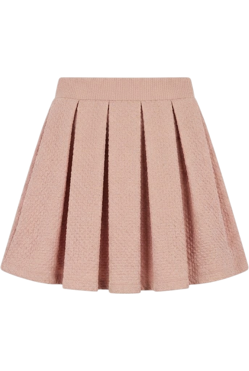 Pink and gold pleated skirt - product view