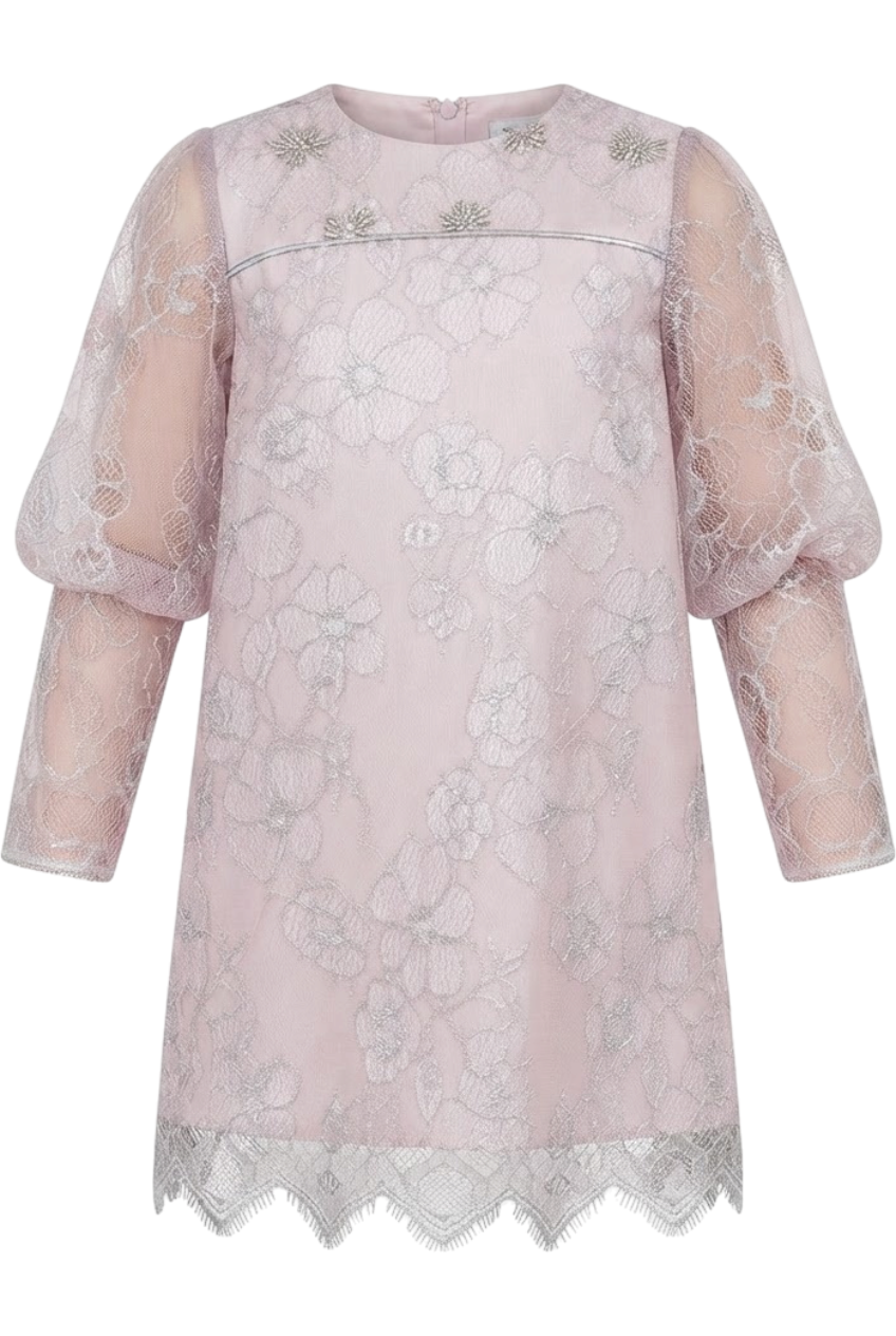 Powder pink and silver lace dress with long sleeves and hand-made silver embroidery details - product view
