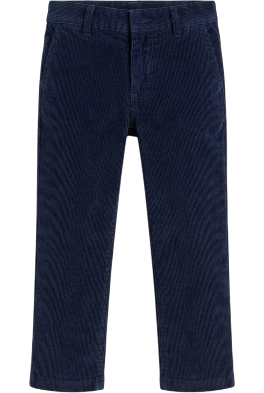 Blue corduroy trousers - product view