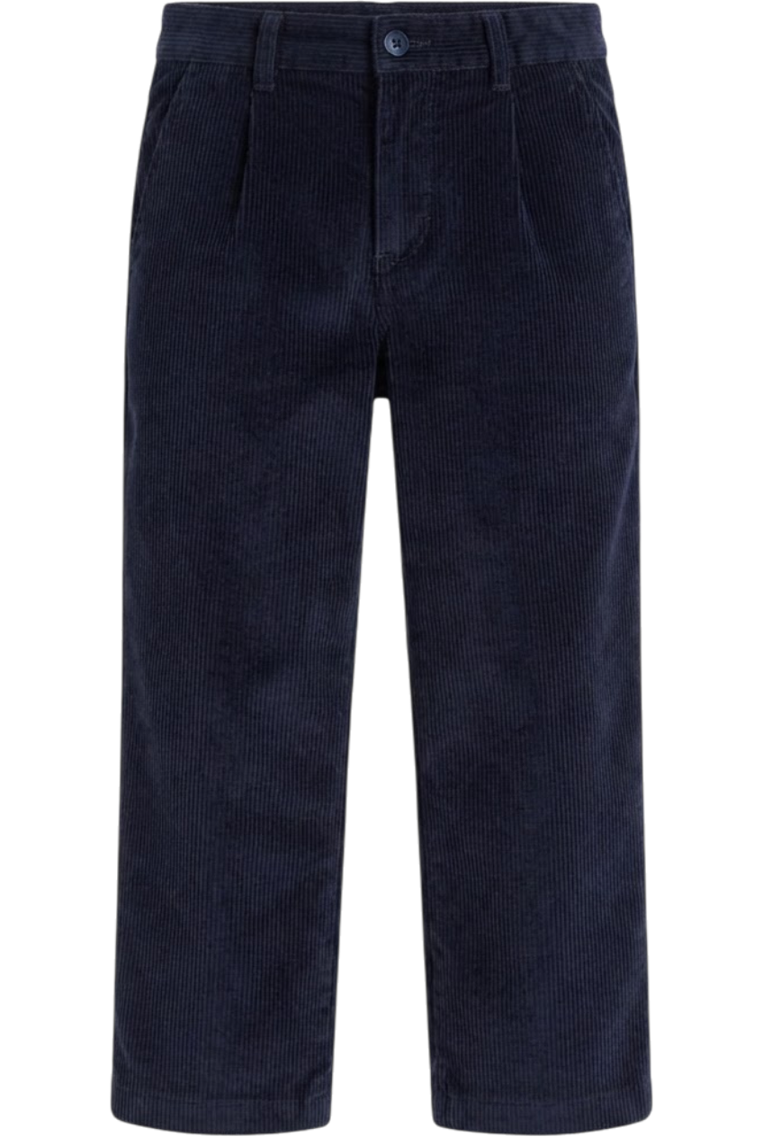 Blue corduroy trousers - product view