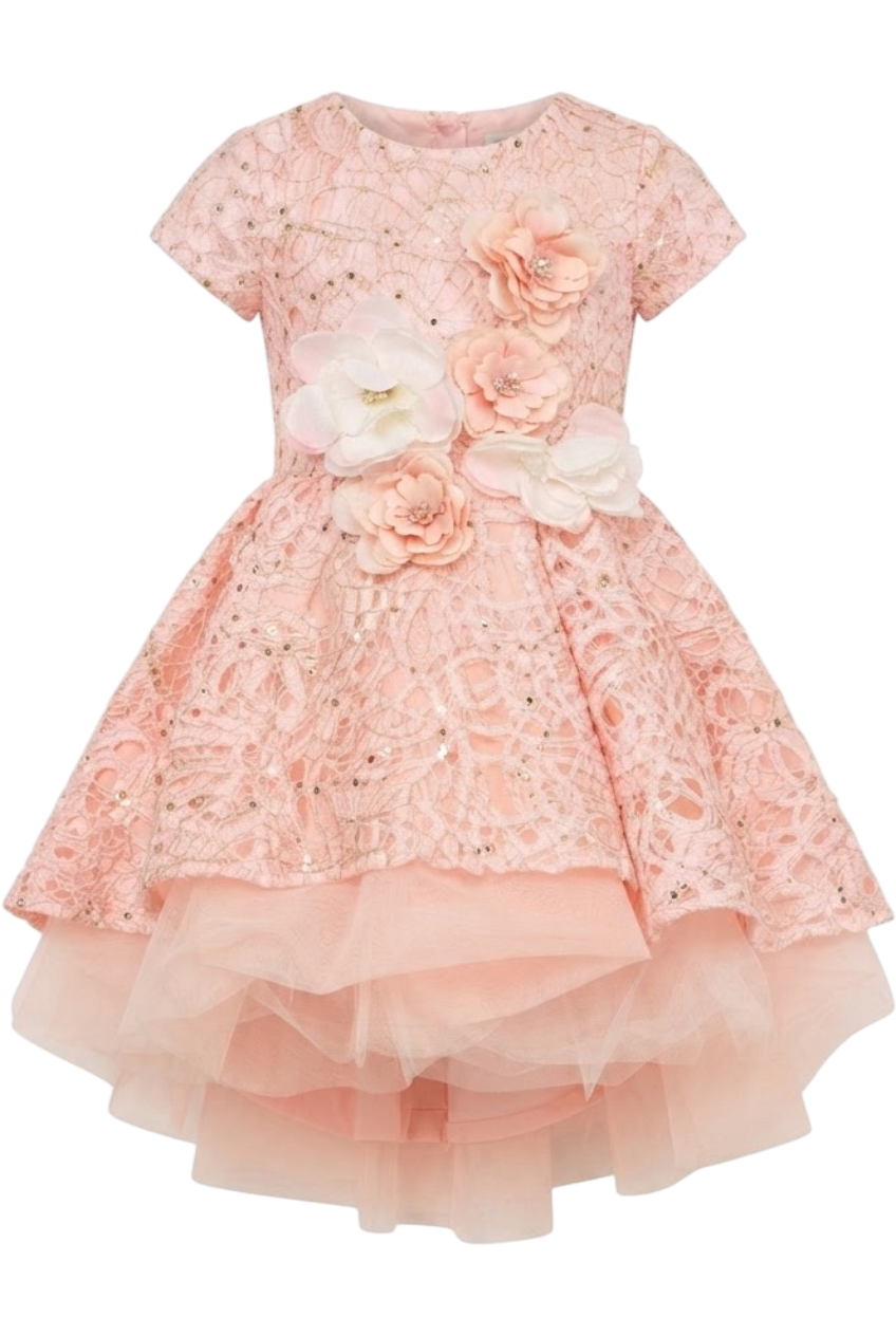Pink lace dress with gold detail and layered tulle - product view