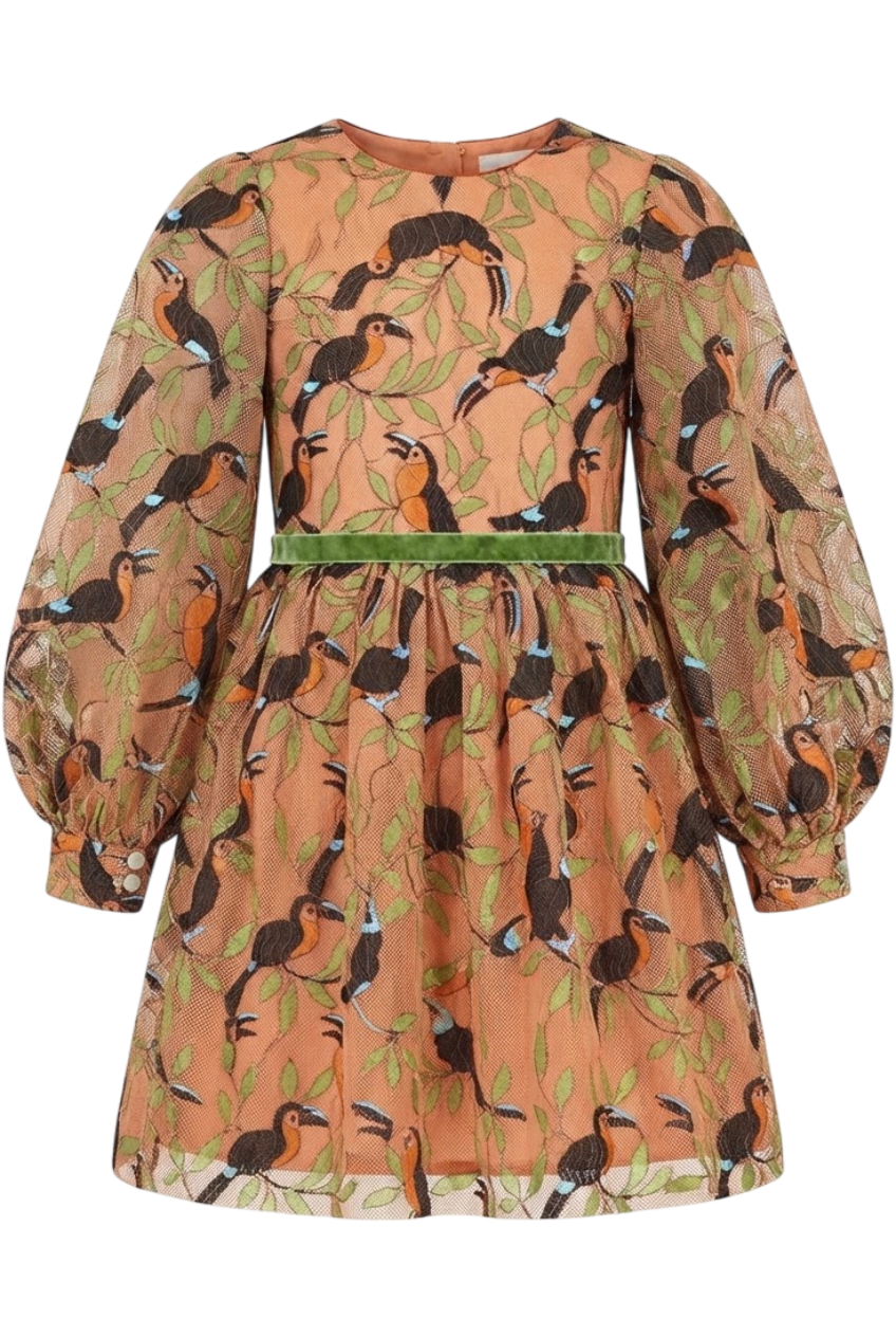 Parrots emroidered lace dress with voluminous sleeves - product view