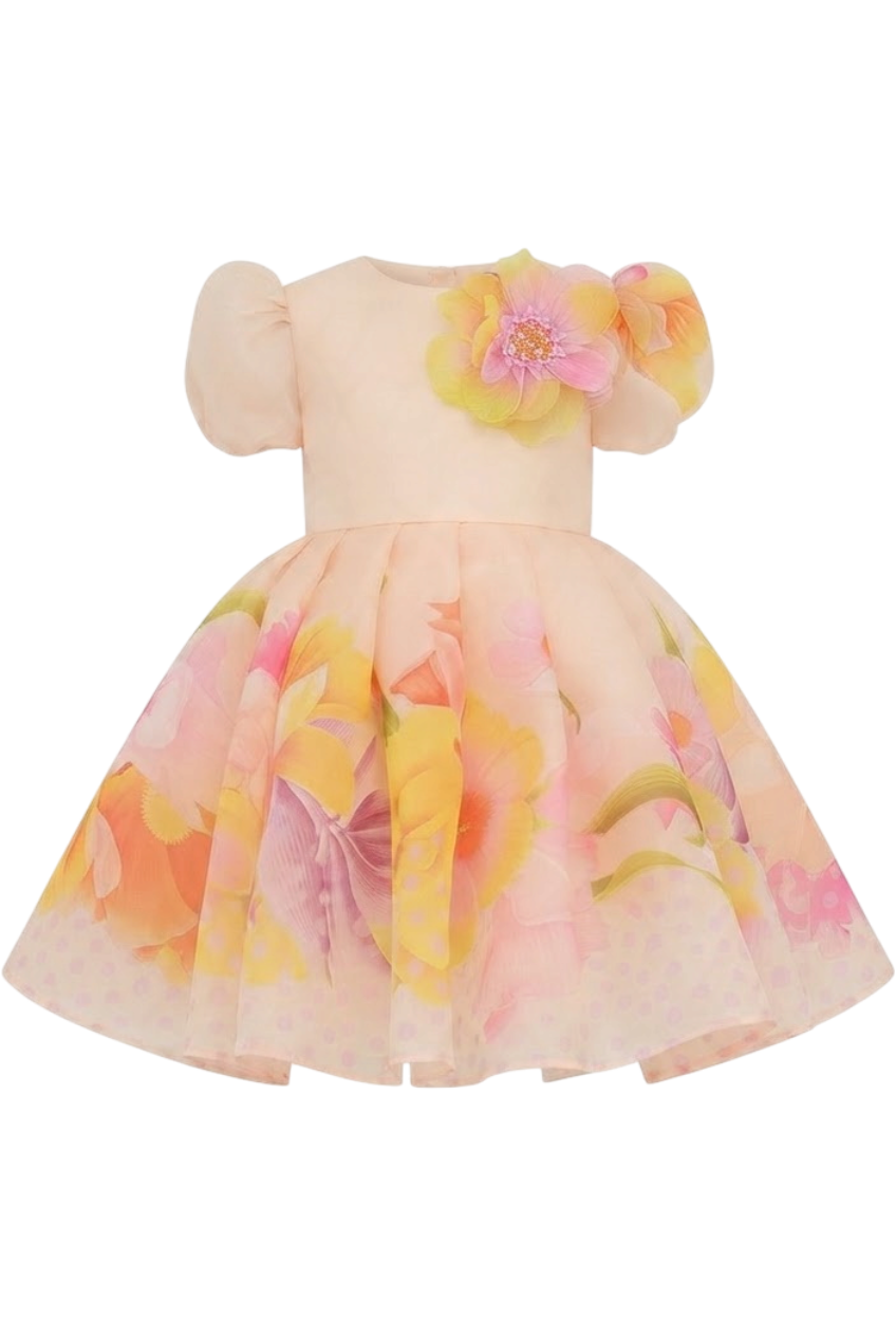 Light peach organza dress with floral print and 3D hand-embellished flower - product view