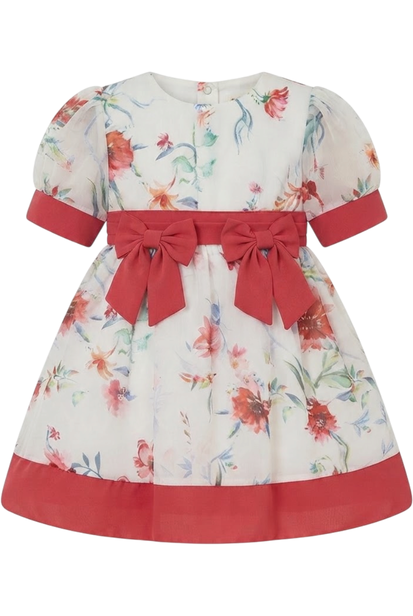 Chiffon floral baby dress with two red bow - product view